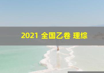 2021 全国乙卷 理综